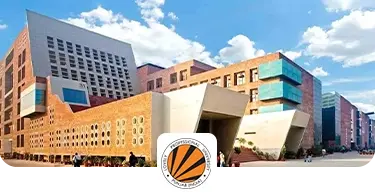 Lovely Professional University